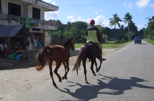 Traditional Horse riding