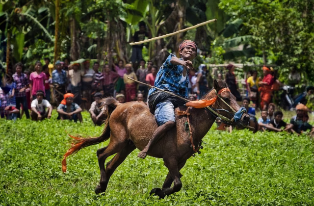 Pasola Festival in Kodi