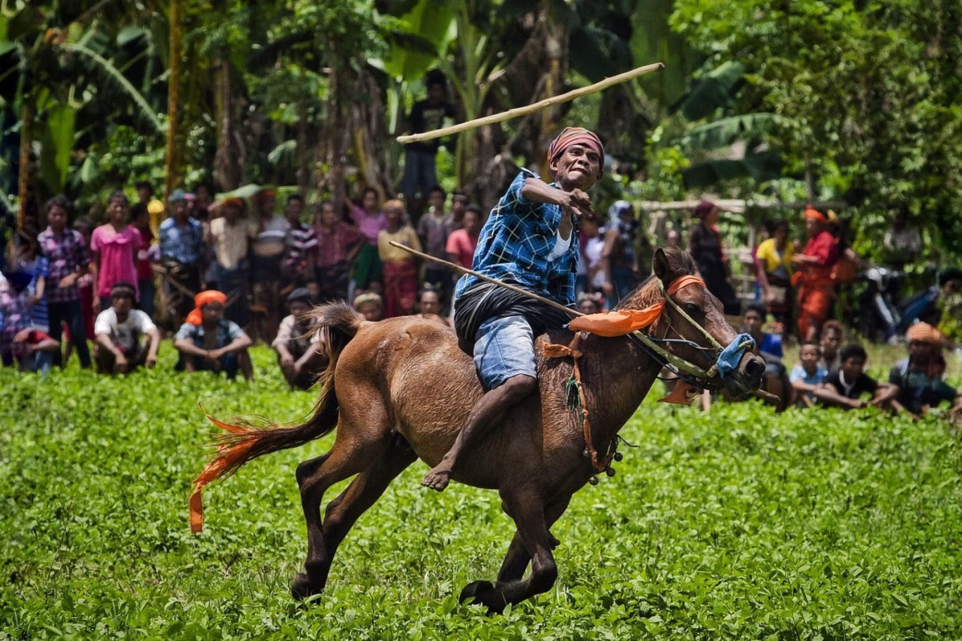 Pasola Festival in Kodi