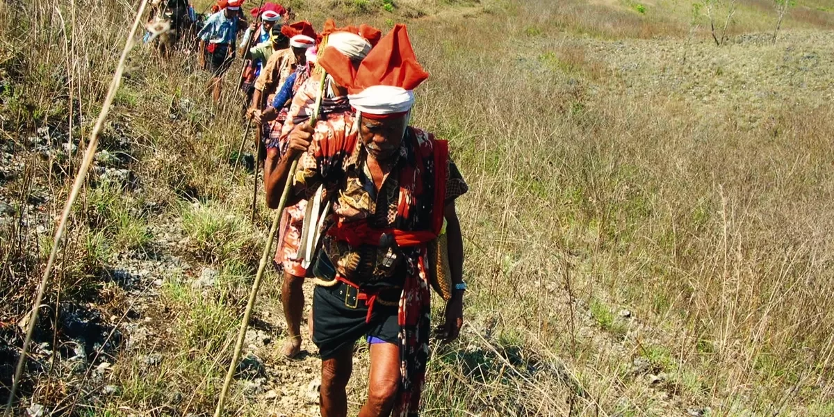 A line of Sumba men in traditional Marapu attire, wearing red headbands and patterned sarongs, walking along a narrow dirt path through a grassy field during the Purung Ta Liang ritual.