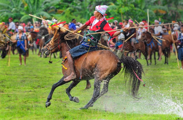 A traditionally dressed Sumba horseman rides bareback during the Wanokaka Pasola, with a crowd and green field in the background.