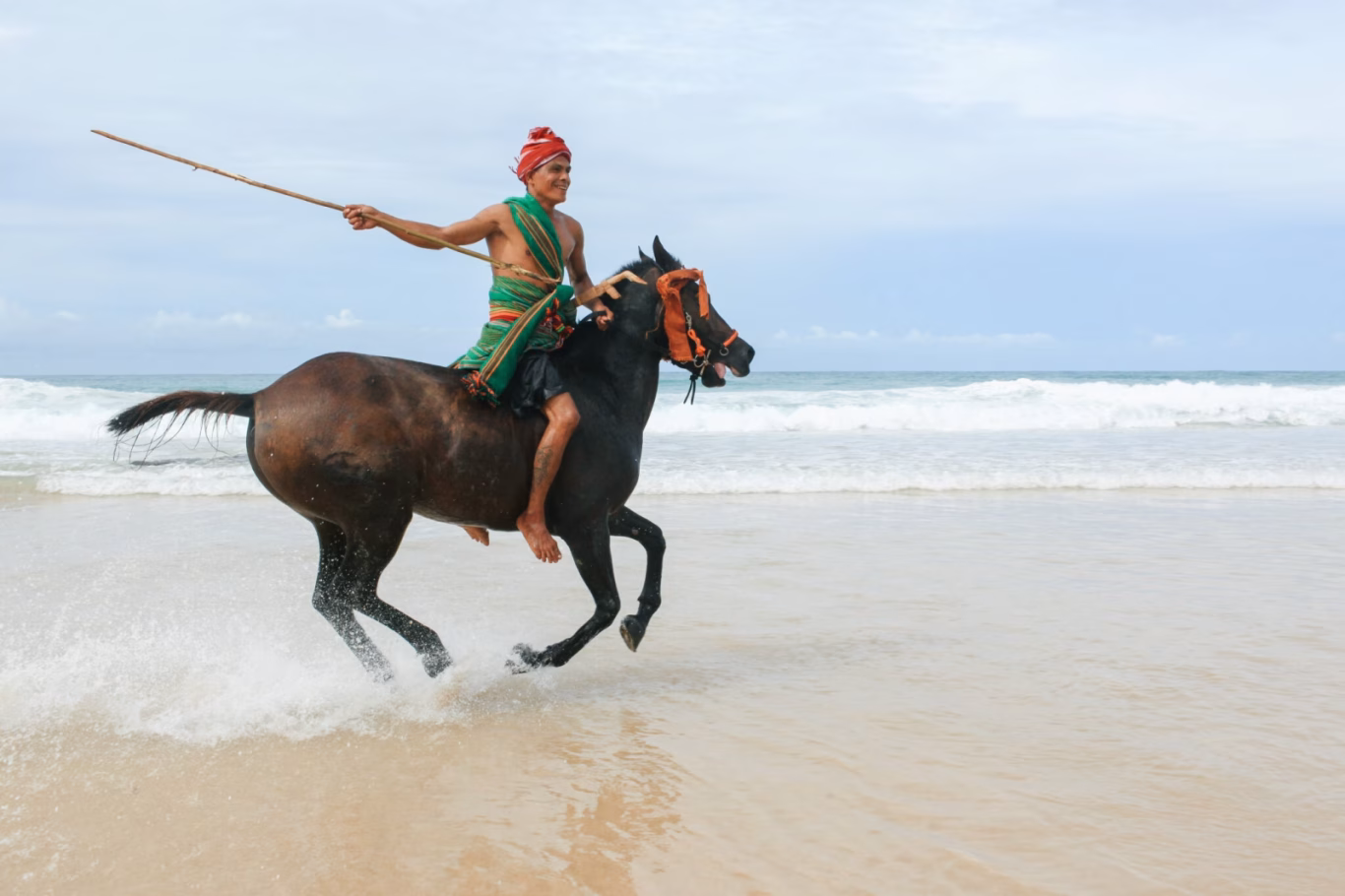 Sandalwood Pony Parade