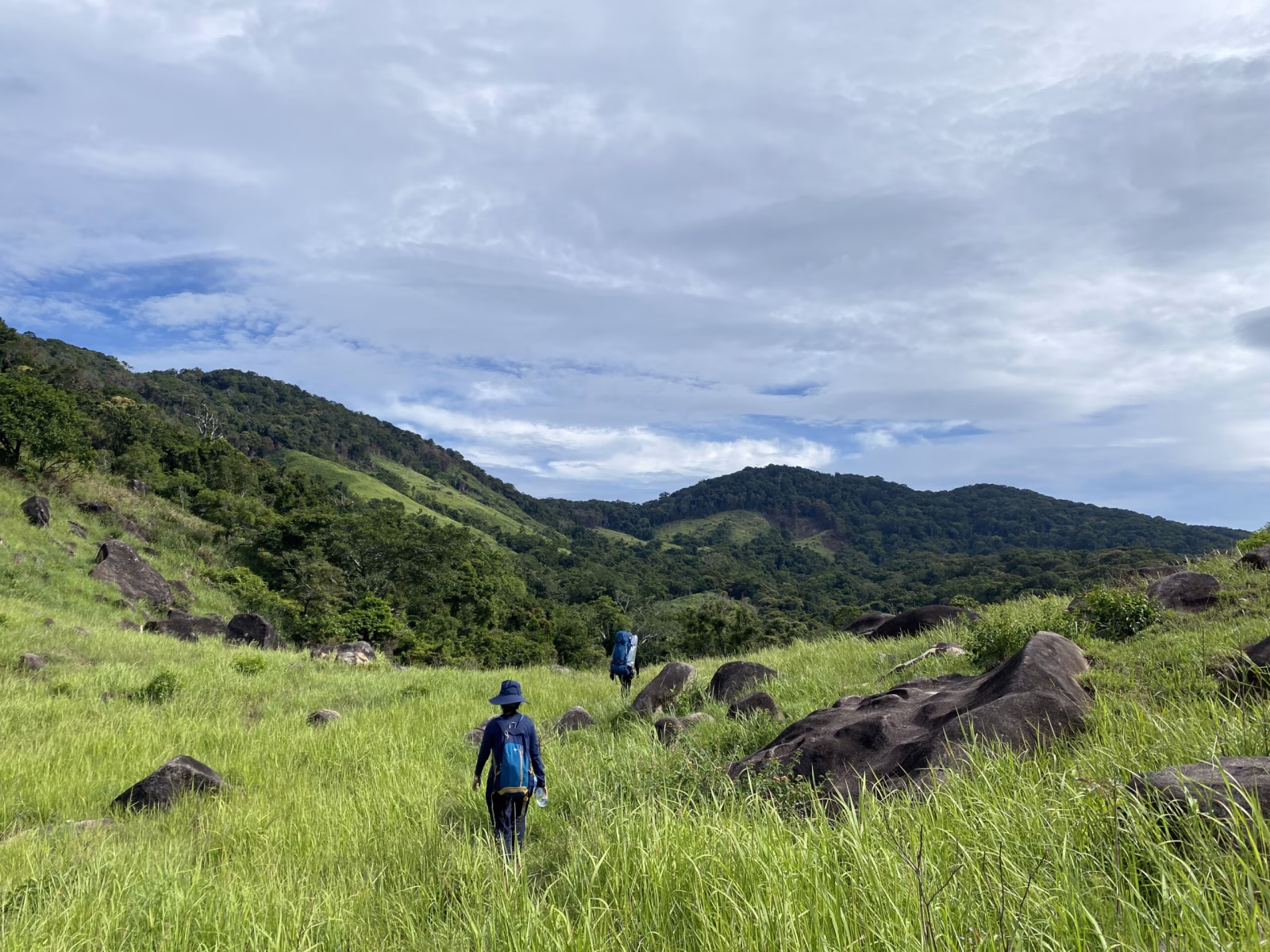 Two hikers walk through a grassy field with scattered rocks, towards green hills under a cloudy sky in Sumba, Indonesia.