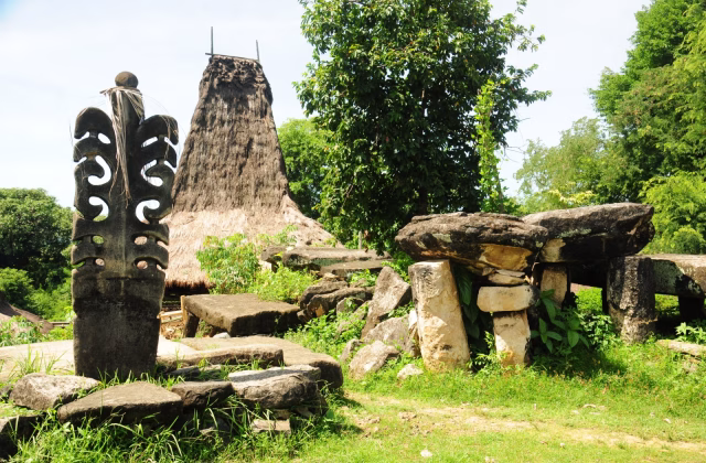 Traditional Sumba houses with thatched roofs, framed by a large tree and lush greenery under a cloudy sky. Day trips in Sumba.