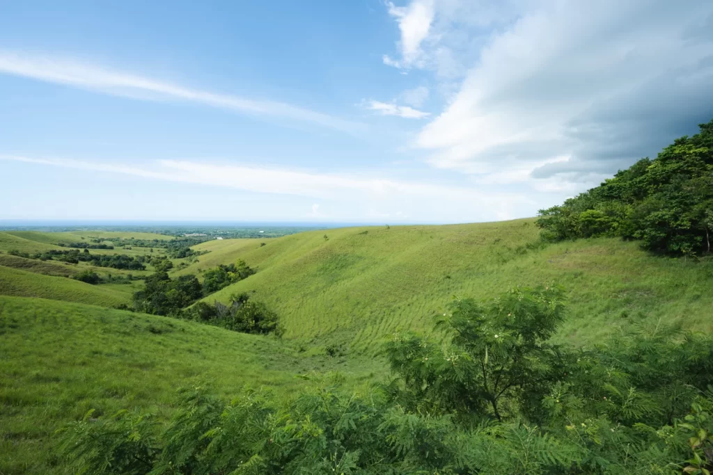Rolling green hills and valleys stretch towards the horizon under a blue sky with white clouds in Sumba, Indonesia. Sumba geography.