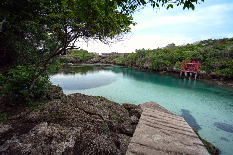Clear turquoise water is surrounded by lush green trees and rocky outcrops under a bright sky in Sumba, Indonesia. Day trips in Sumba.