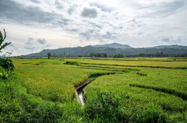 Indonesia Odyssey: Sumba, Komodo, Bali and Java Adventure