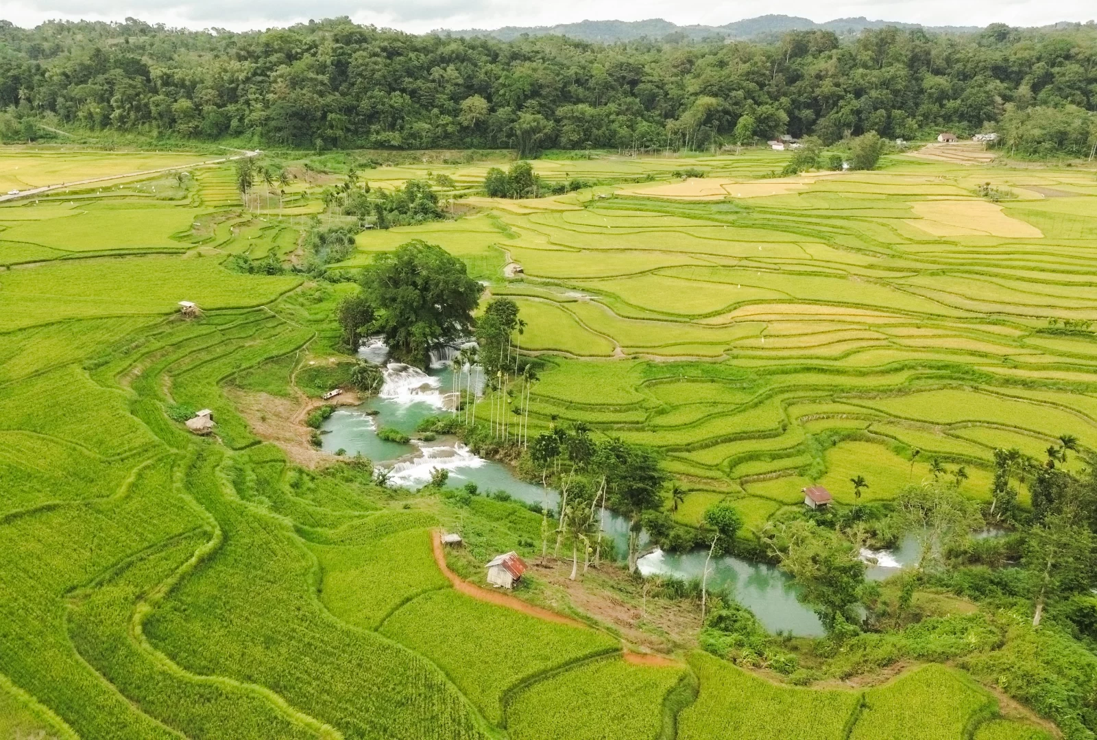 Aerial view of Sumba Island's green rice terraces and a turquoise river with small waterfalls, surrounded by a lush forest. Sumba geography.