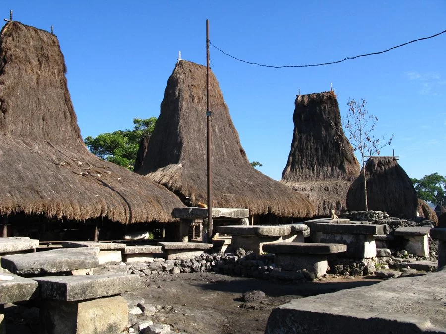 Thatched-roof houses with stone platforms are set against a clear blue sky in a village in Sumba, Indonesia. Villages in Sumba.