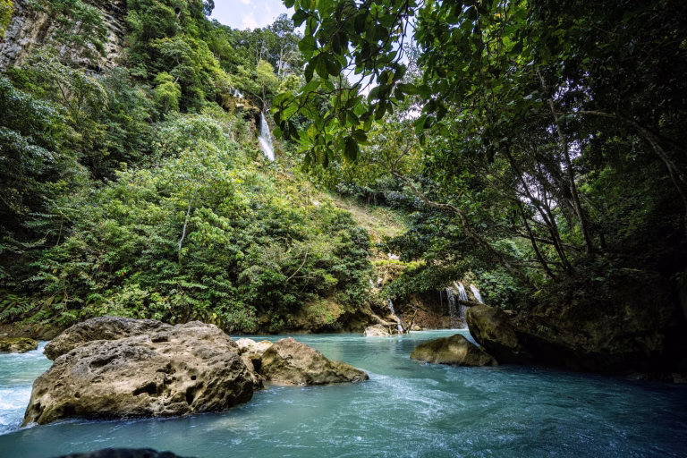 A river flows through a lush green forest with a waterfall in the background on Sumba Island, Indonesia.