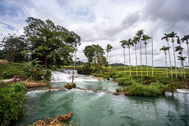 Turquoise river flows over small waterfalls, surrounded by green grass, trees, and tall palm trees under a cloudy sky. Sumba's nature.