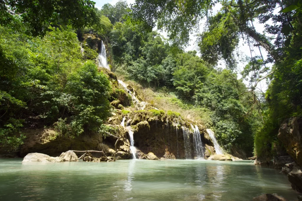 A tiered waterfall cascades into a turquoise pool, surrounded by lush green trees in a tropical setting. Day trips in Sumba.