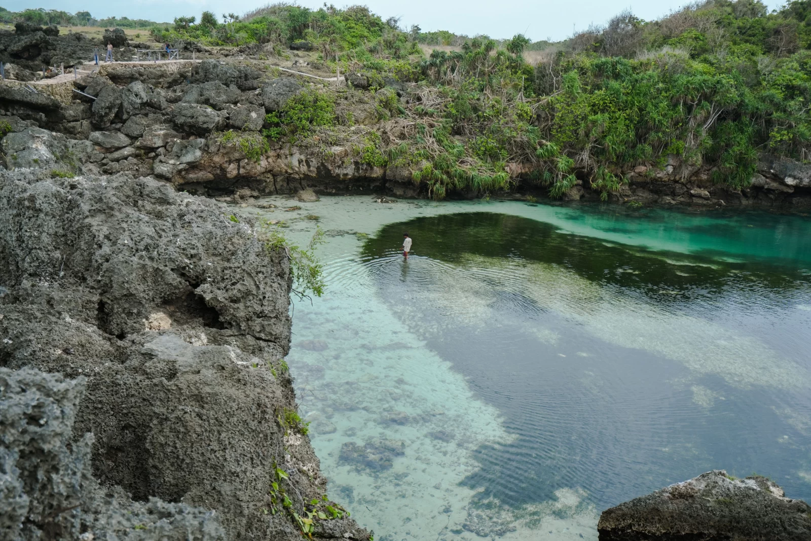 A person wades in a clear, turquoise-colored lagoon surrounded by rocky cliffs and green vegetation in Sumba, Indonesia. Sumba's nature.