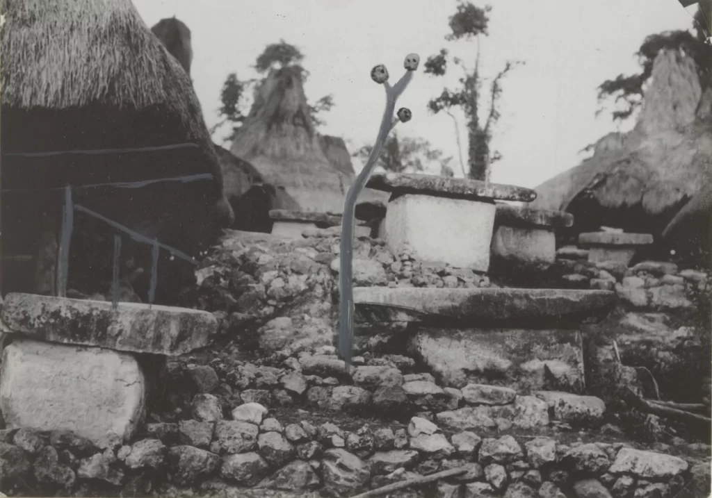 Monochrome image shows traditional Sumba houses with thatched roofs and stone tombs in a village setting. History of Sumba.
