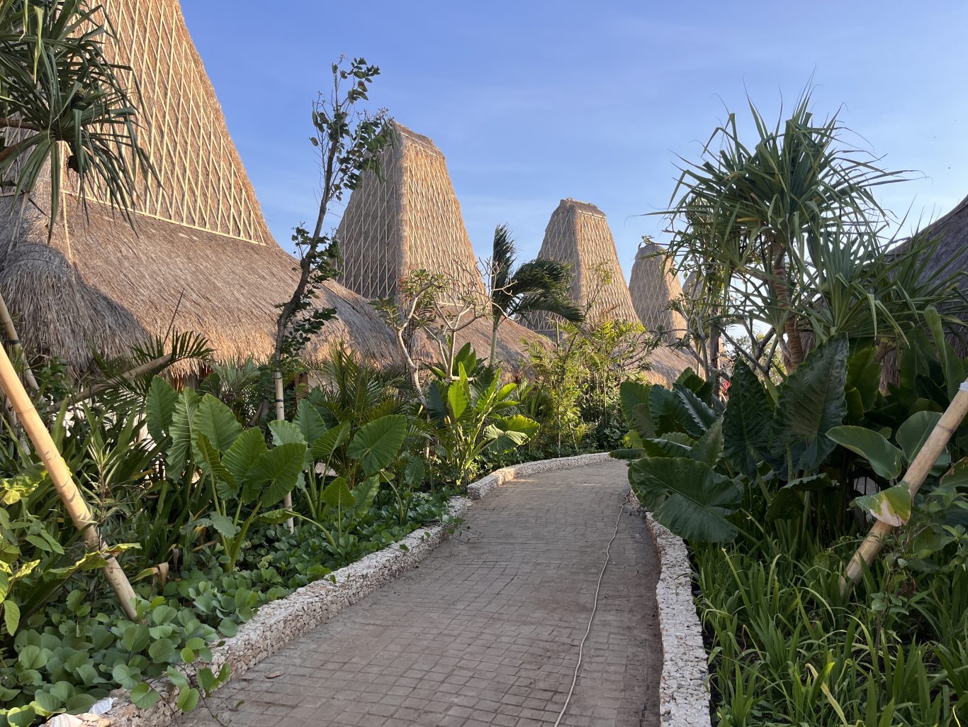 A paved pathway winds through lush green tropical plants towards several buildings with tall, conical thatched roofs under a clear blue sky.