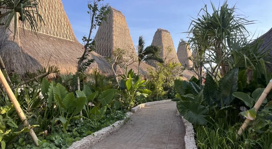 A paved pathway winds through lush green tropical plants towards several buildings with tall, conical thatched roofs under a clear blue sky.