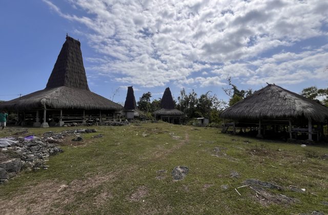 Traditional Sumbanese houses with tall, dark thatched roofs stand on stilts in a grassy village under a partly cloudy blue sky.