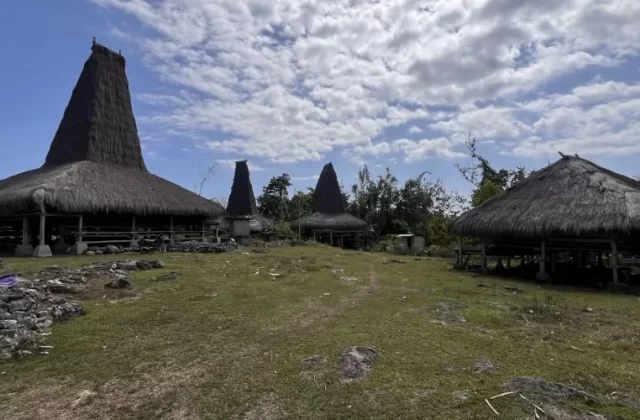 Traditional Sumbanese houses with tall, dark thatched roofs stand on stilts in a grassy village under a partly cloudy blue sky.