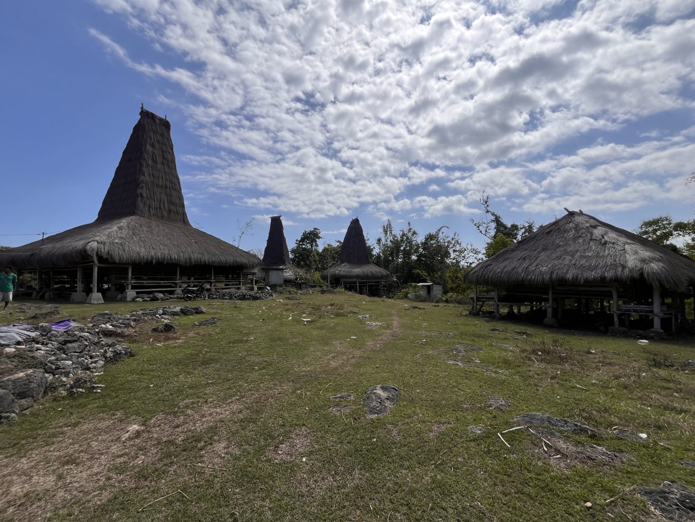 Traditional Sumbanese houses with tall, dark thatched roofs stand on stilts in a grassy village under a partly cloudy blue sky.