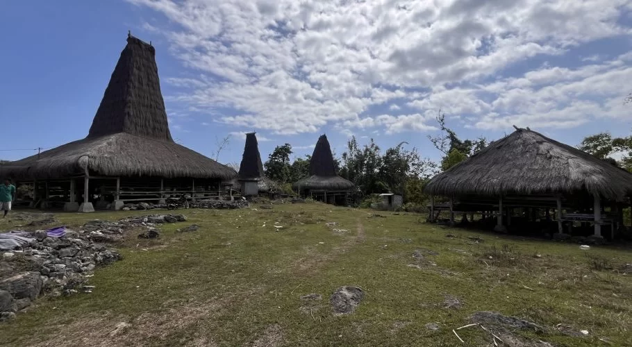 Traditional Sumbanese houses with tall, dark thatched roofs stand on stilts in a grassy village under a partly cloudy blue sky.