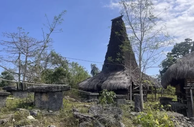 Bondo Kodi Village