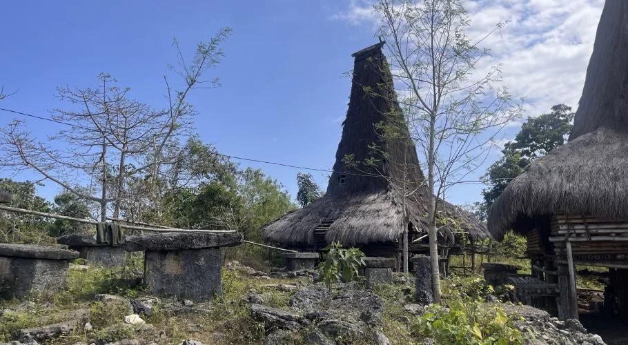 Traditional Sumba houses with tall thatched roofs stand among large stone megalithic graves and sparse trees under a bright blue sky.