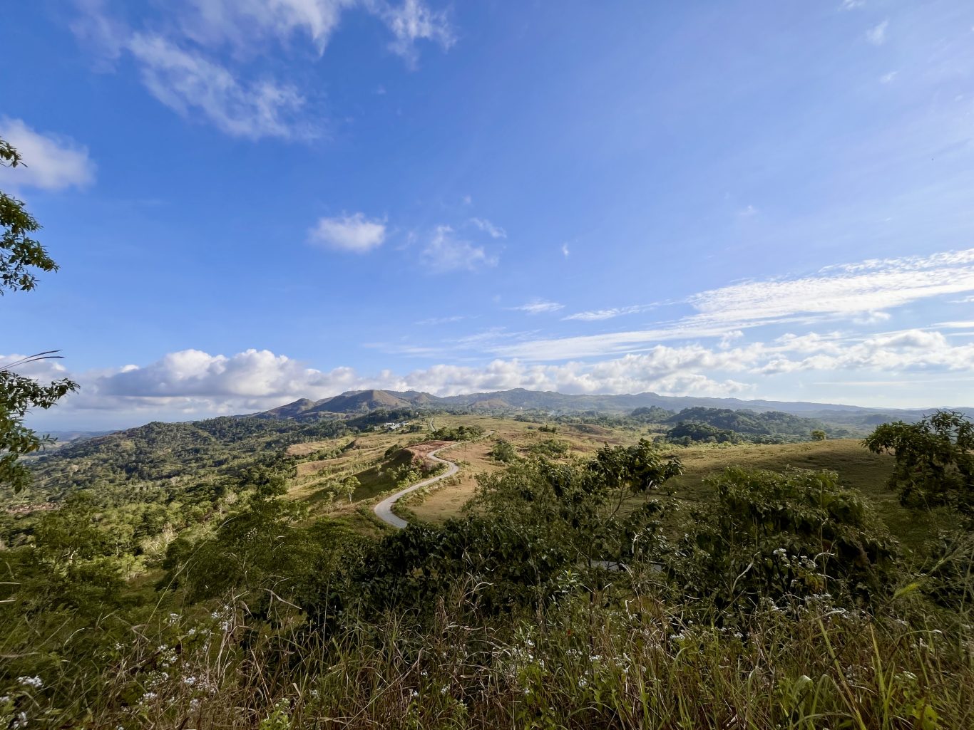 A winding road traverses green and golden savanna hills under a bright blue sky with scattered white clouds, with distant mountains on the horizon.