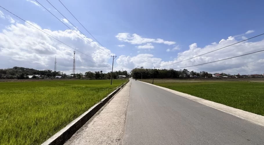 A paved road extends through lush green rice fields under a blue sky with white clouds, with power lines overhead and distant buildings.