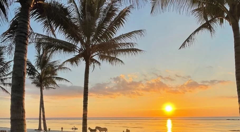 Palm trees silhouette a vibrant orange and yellow sunset over a calm ocean, with horses and people visible on a tropical beach.