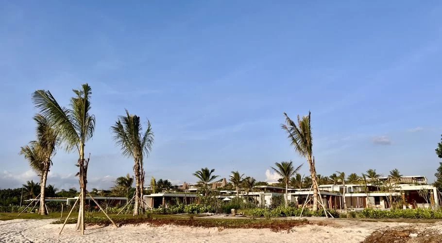A beachfront resort with modern buildings and lush greenery stands behind a sandy area with several young, staked palm trees under a clear blue sky.