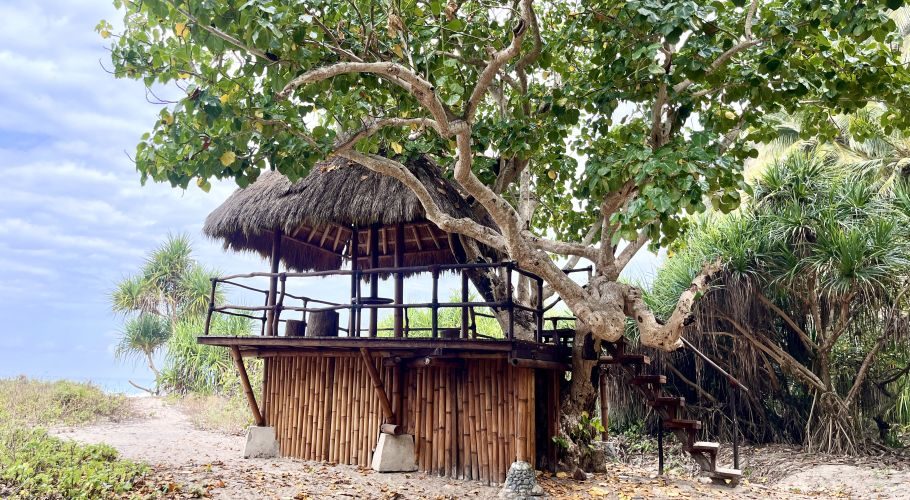 A rustic treehouse with a thatched roof and bamboo base stands among green trees on the sandy Dasang Beach under a cloudy sky.
