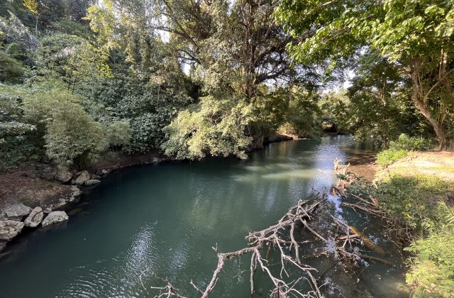 The tranquil Dinjo River flows with turquoise-green water, framed by dense tropical foliage and sun-dappled trees on both banks.