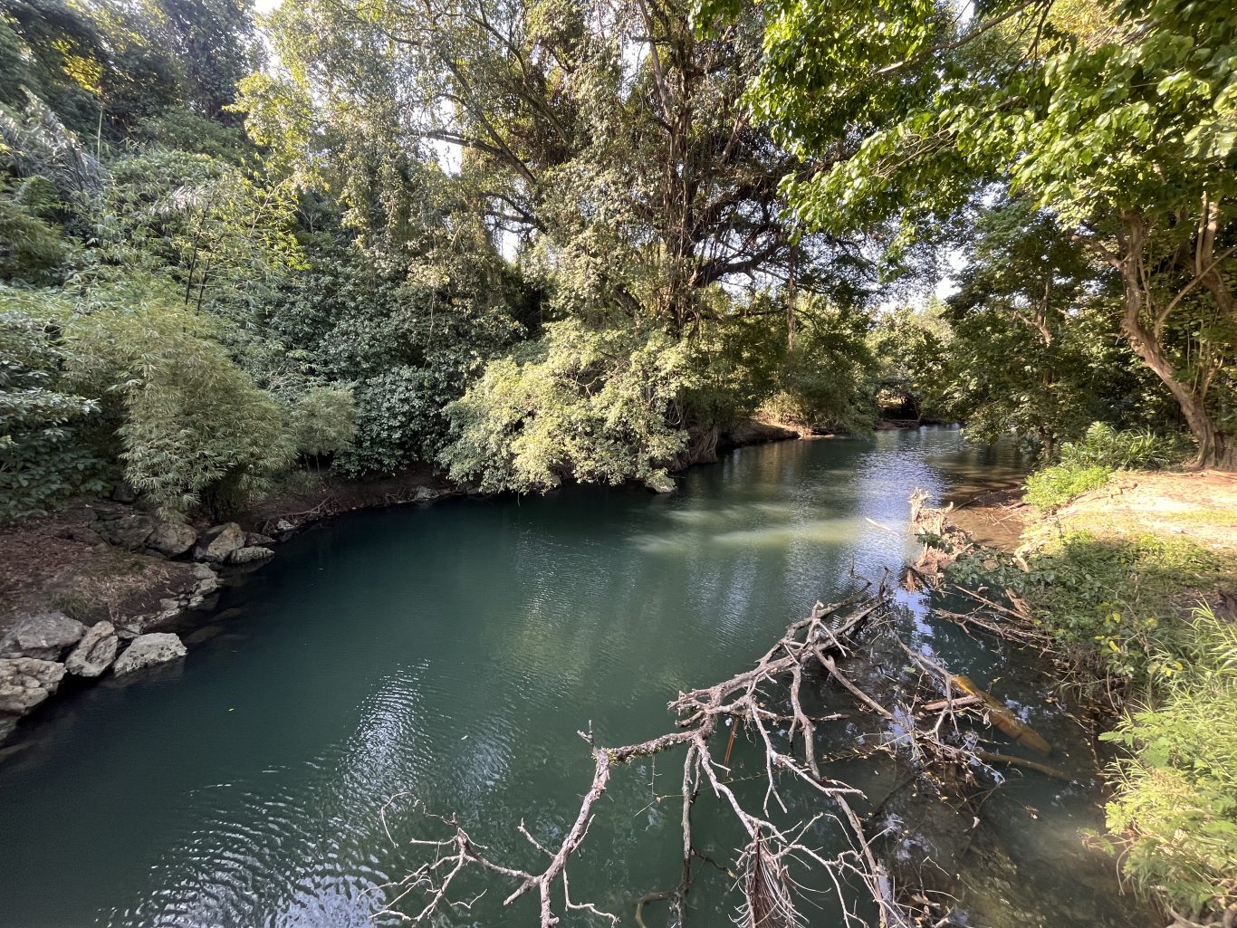 The tranquil Dinjo River flows with turquoise-green water, framed by dense tropical foliage and sun-dappled trees on both banks.