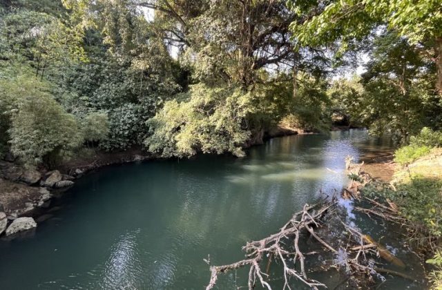 The tranquil Dinjo River flows with turquoise-green water, framed by dense tropical foliage and sun-dappled trees on both banks.