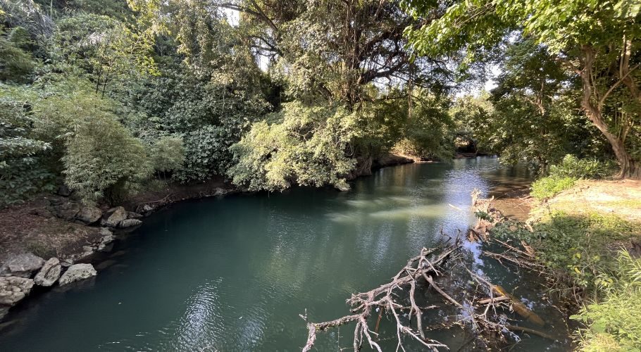 The tranquil Dinjo River flows with turquoise-green water, framed by dense tropical foliage and sun-dappled trees on both banks.