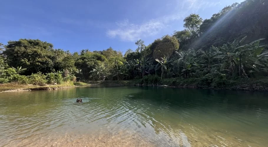 Two people swim in the clear, turquoise-green Dinjo River, surrounded by dense tropical foliage under a bright blue sky in Sumba.