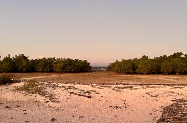 A wide view of the Hamba Praing Mangrove Forest shows dense green trees flanking a sandy beach and a dry tidal flat leading to the distant blue ocean under a pale sky.