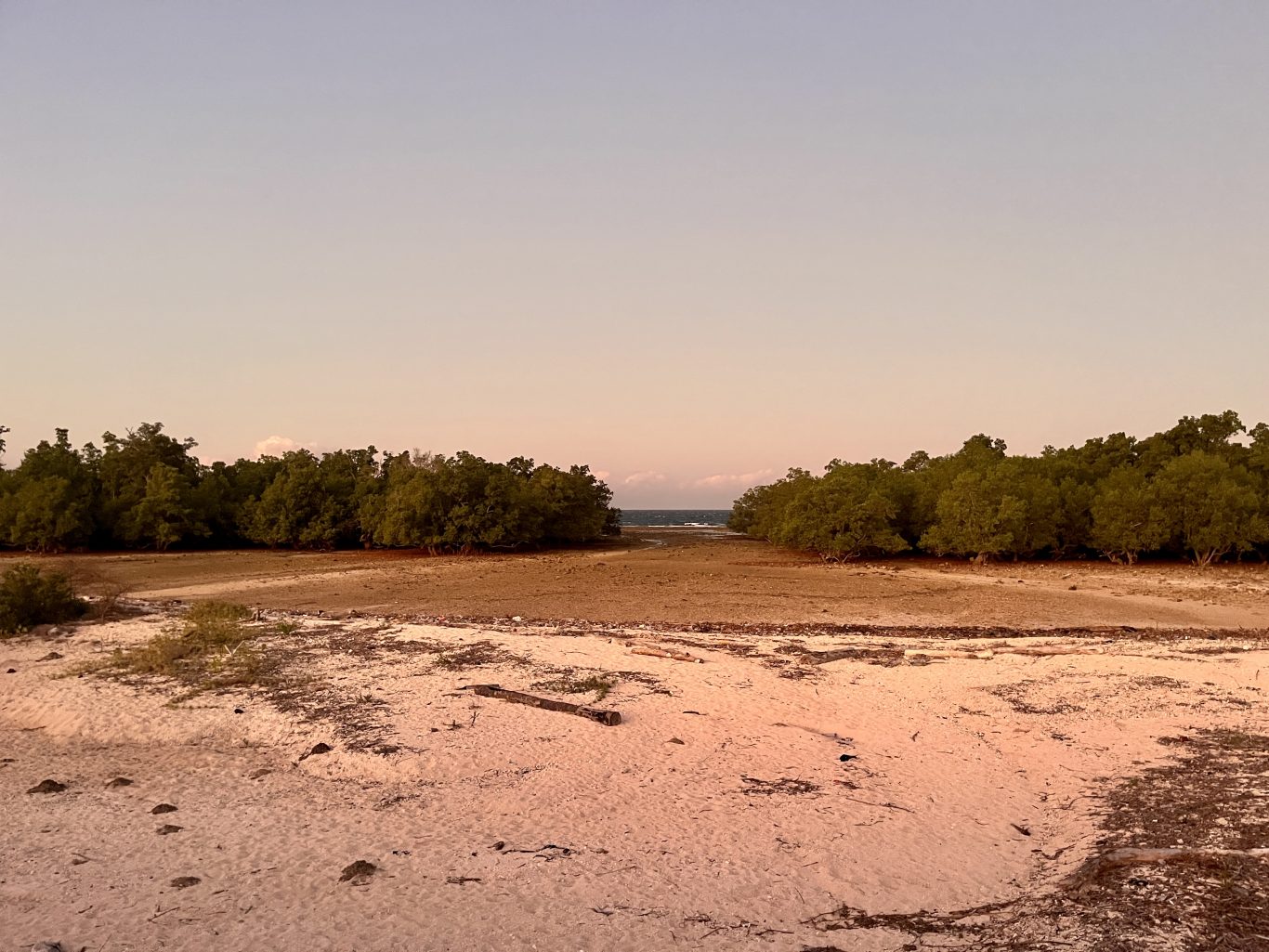A wide view of the Hamba Praing Mangrove Forest shows dense green trees flanking a sandy beach and a dry tidal flat leading to the distant blue ocean under a pale sky.