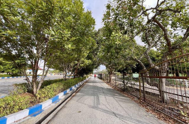 A person in a red shirt jogs away on a paved path lined with green trees, blue-and-white curbs, and a metal fence in West Sumba.