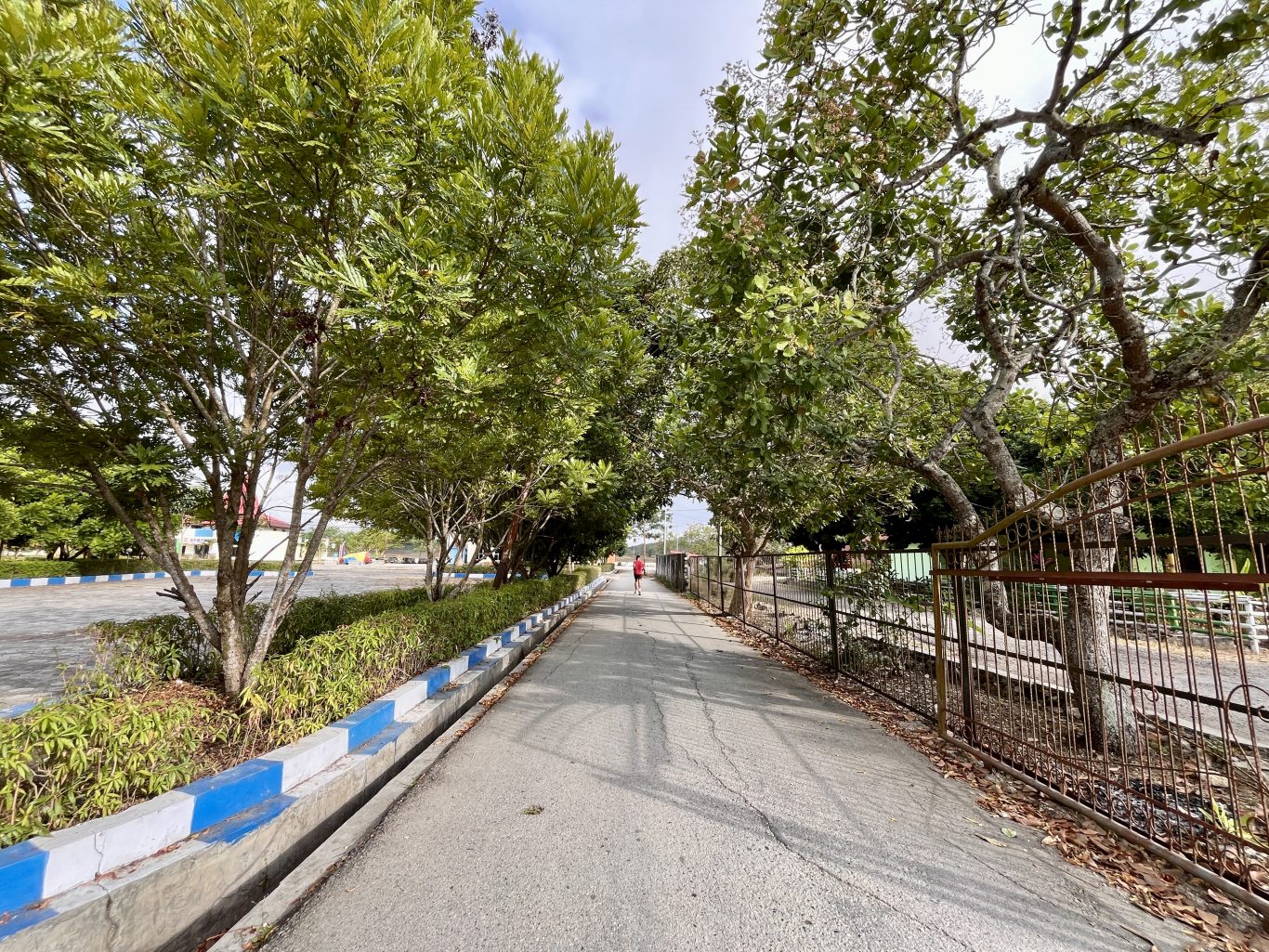 A person in a red shirt jogs away on a paved path lined with green trees, blue-and-white curbs, and a metal fence in West Sumba.