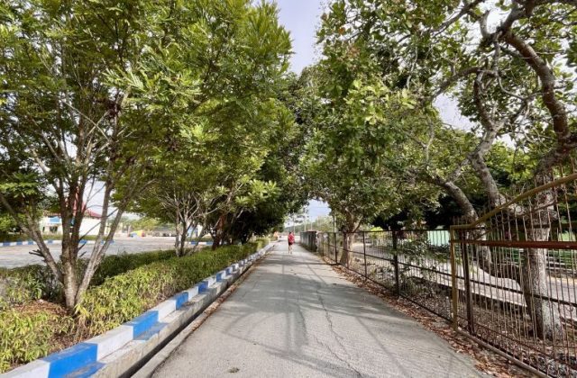 A person in a red shirt jogs away on a paved path lined with green trees, blue-and-white curbs, and a metal fence in West Sumba.