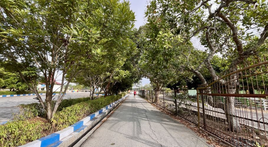 A person in a red shirt jogs away on a paved path lined with green trees, blue-and-white curbs, and a metal fence in West Sumba.
