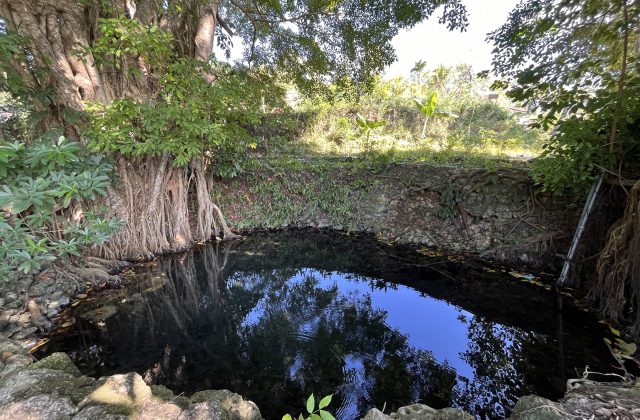Kabu Karudi Spring