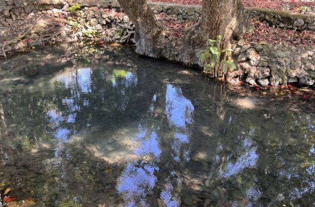 Kabu Karudi Spring