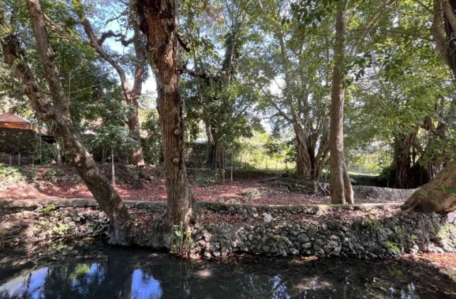 Kabu Karudi Spring