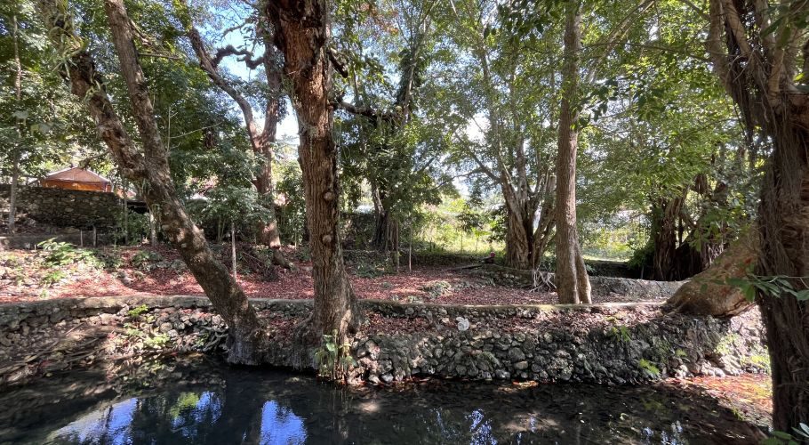 Clear, dark water in a stone-lined pool is surrounded by lush green trees and a path covered in reddish-brown leaves under bright sunlight at Kabu Karudi Spring.