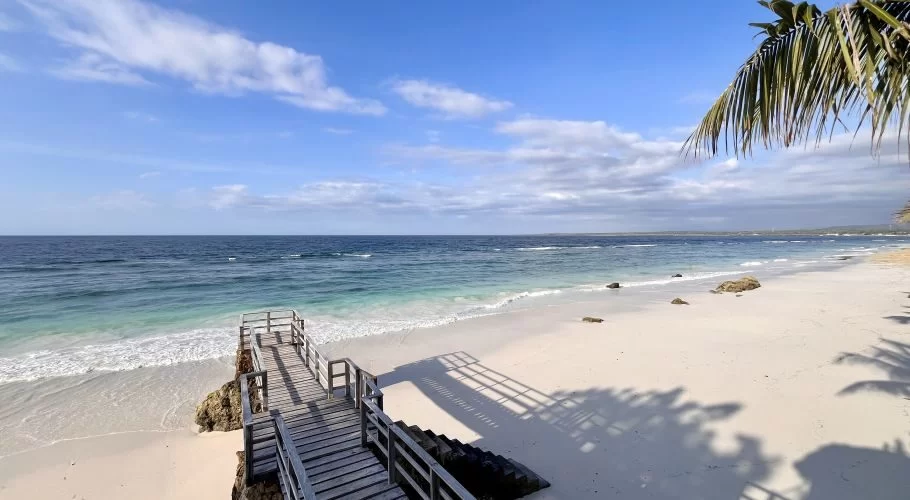 A wooden walkway descends to a pristine white sand beach with clear turquoise waters under a blue sky, framed by palm fronds and their shadows.