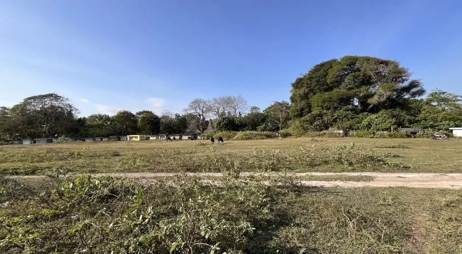 A wide, sunlit grassy field with a dirt path, surrounded by lush trees and traditional stone graves, where a few dark horses graze under a clear blue sky.