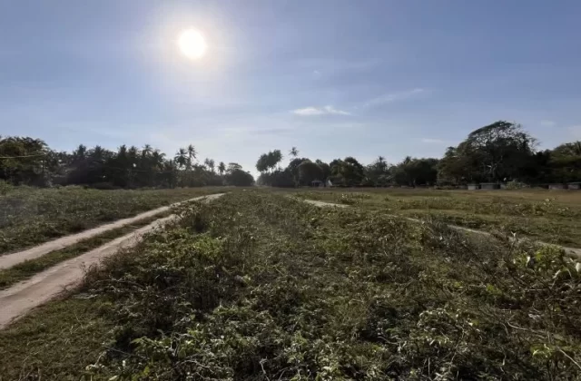 Kodi Pasola Field