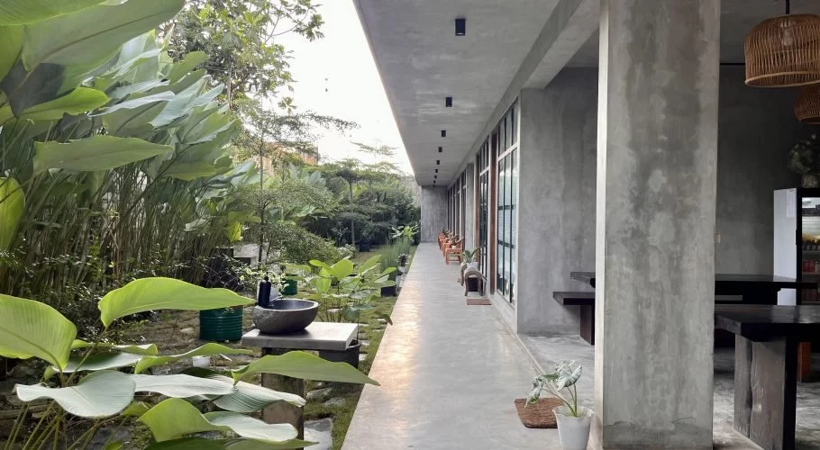 A long concrete walkway of a modern guesthouse runs alongside a vibrant green garden with large tropical plants under an overcast sky.